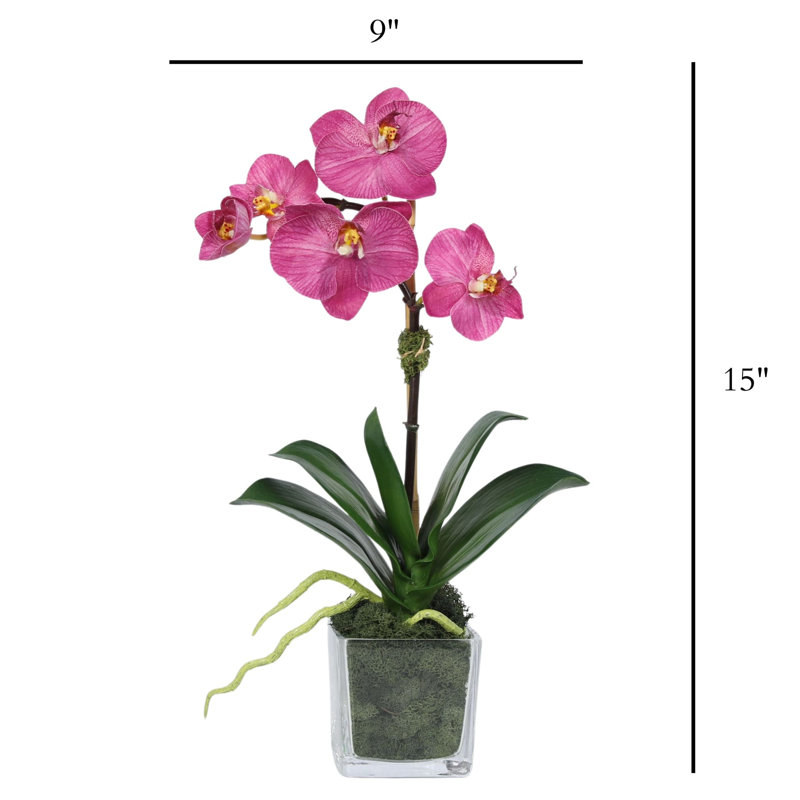 Orchid Arrangement In Square Glass Vase, Pink