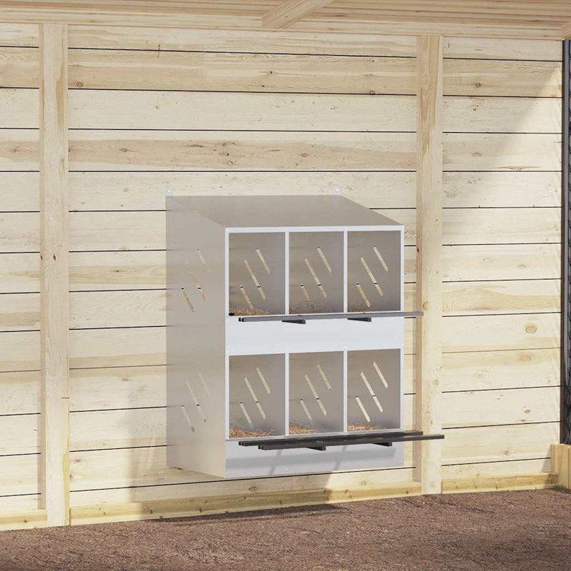 Chicken Coop, Silver