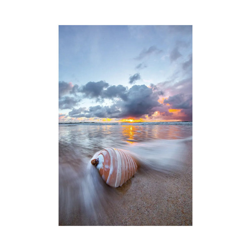 Ribbed Shell Pastels by Sean Davey - Wrapped Canvas Gallery-Wrapped Canvas Giclée, 101.6 cm H x 66.04 cm W x 3.175 cm D
