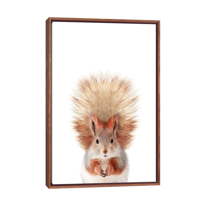 «Baby Squirrel» par Sissi & Seb - impression d'art graphique, H 26 po x l 18 po x 1,5 po, Toile avec cadre brun, Pas de tapis