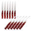 Ensemble de couteaux à steak 14 pièces BergHOFF International Pakka