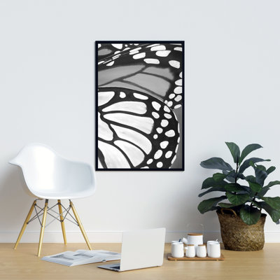  Butterfly Wings Closeup 