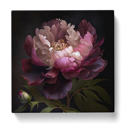 Peony Flower - No Frame Print