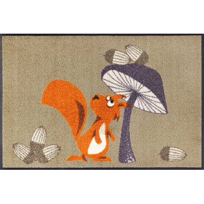 Non-Slip Indoor / Outdoor Doormat