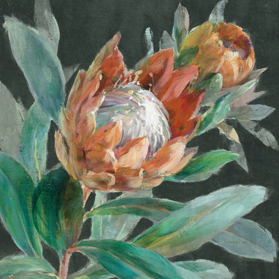 Deep Tropical Protea Crop by Danhui Nai - Wrapped Canvas Painting