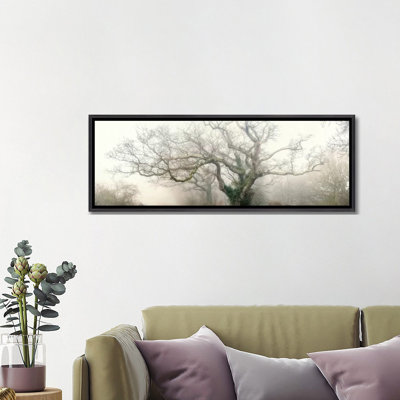 " Panoramic Octopus Ghost Oak " by Philippe Manguin