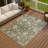 Machine Washable Indoor/Outdoor Chantille ACN2355 Traditional Rug-1763380447