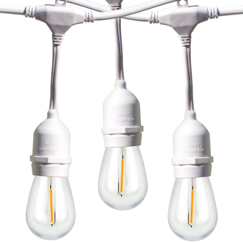 Guirlande d'extérieur à 15 ampoules à brancher 576 po - Basics by Wayfair ™, Blanc