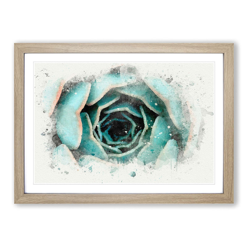 Pink Tipped Succulent Plant - Picture Frame Graphic Art Print, 50cm H x 76cm W x 2cm D, Oak