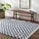 Camryne Checkered Indoor Rug