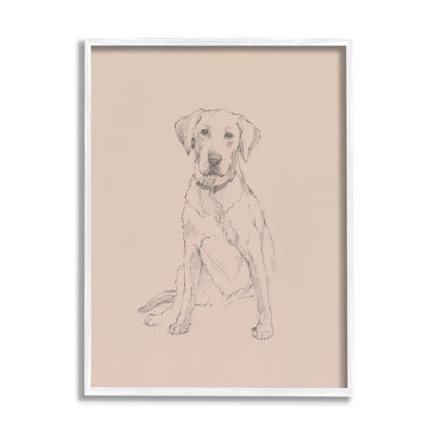 " Retriever Animal Portrait "