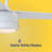 Skelton 44'' Indoor Ceiling Fan with Light, 3-Blade Pull Chain Ceiling Fan, Reversible AC Motor, Color Changing LED Light Kit - Matte White-1230574623-1277667852-1277667843