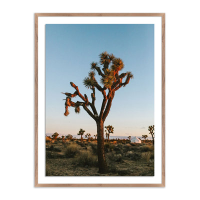 Camp Print by Wesley And Emma Teague