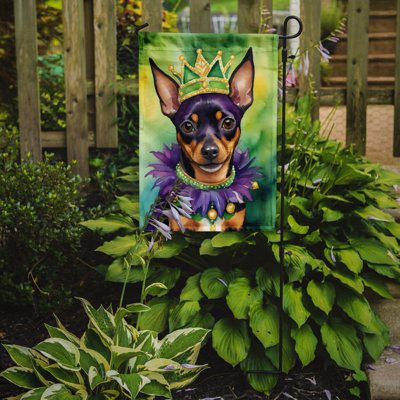 Double Sided 15.5'' H x 11.25'' W Polyester Mardi Gras Garden Flag