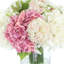 Hydrangea and Viburnum Arranged in Glass Vase