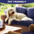24"×24"×4“ Outdoor Removable Seat Cushion-413889160-428889874