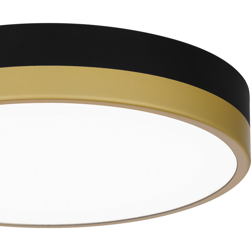 Acrylic LED Flush Mount, Matte Black Gold