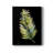 " Frond II "-32016417