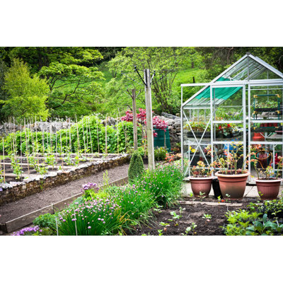 " Vegetable Garden "