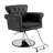 Faux Leather Reclining Salon Chair