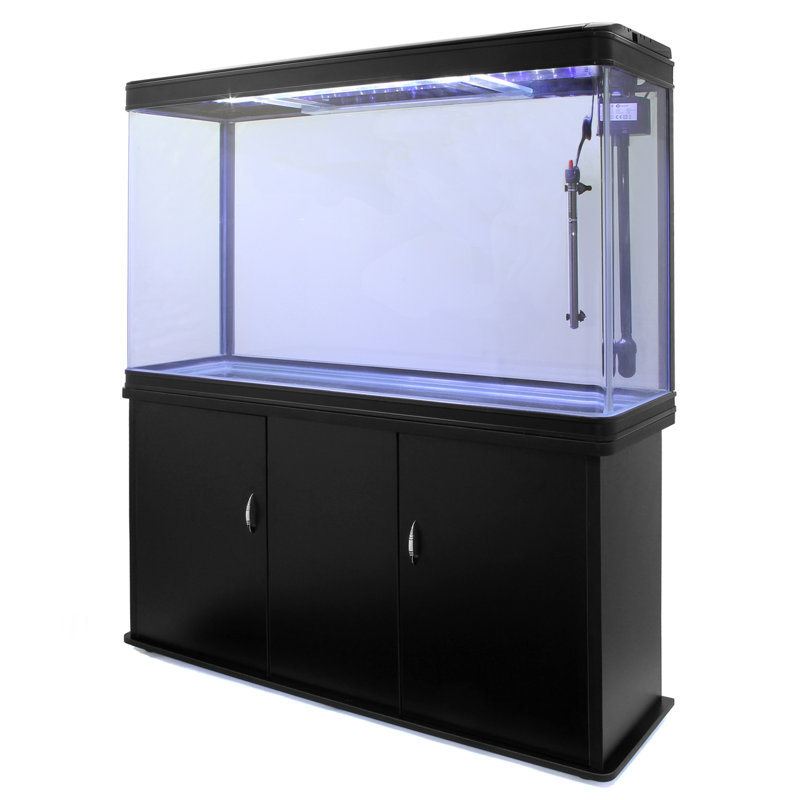 300L Hollis Aquarium Tank, Black