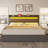 Berneil Upholstered Bed Frame with RGBW LED Lights Headboard & 4 Storage Drawers-1726469735-1678228654
