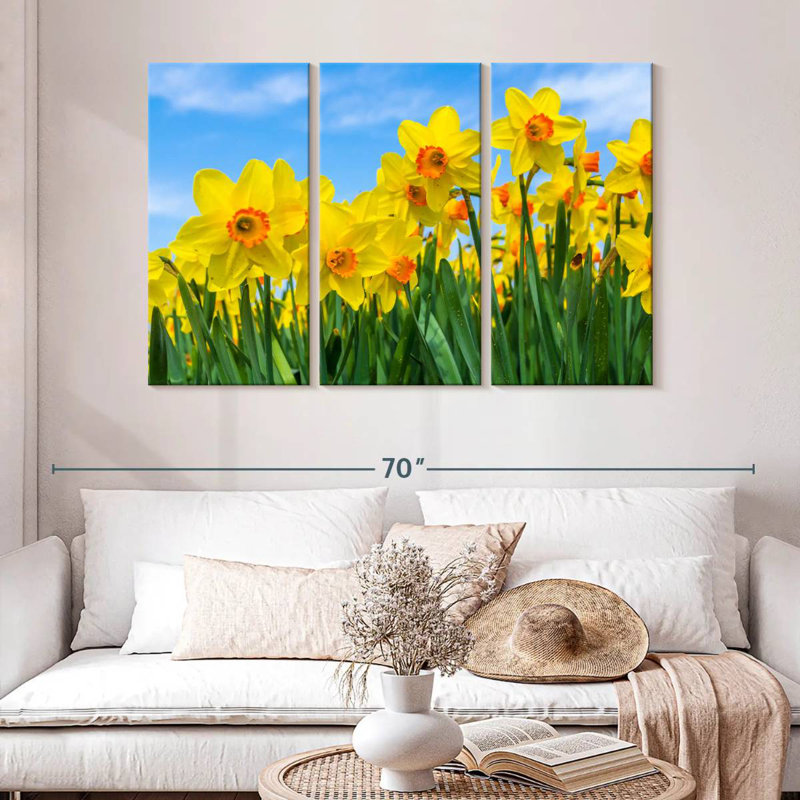 Dutch Master Daffodils, 32" H x 50" W
