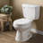 Round Toilet Seat and Lid