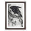 Crow & the Moon by Kawanabe Kyosai - Framed Print-55490456-55490457