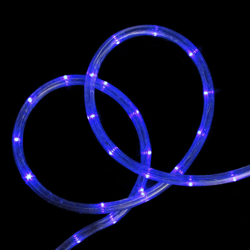 Guirlande de 18 lumières DEL bleues