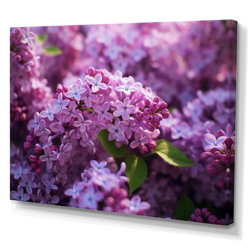 «Lilac mauve», impression sur toile, H 24 po x l 32 po x P 1 po, Toile tendue