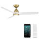 Skylark 3 - Blade Indoor/Outdoor Smart Ceiling Fan with Adjustable CCT 2700K-3000K-4000K-5000K LED Light Kit and Remote Control Included, Works With Alexa and iOS or Android App