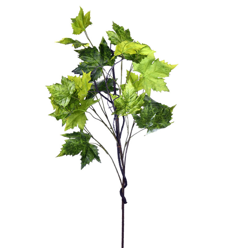 Vaporisateur Platanus, H 51 po x l 5 po x P 6 po