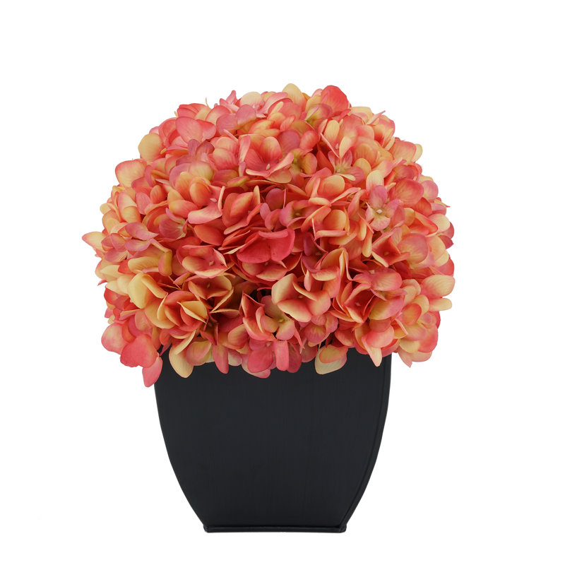 Arrangement floral hortensia en pot, Corail