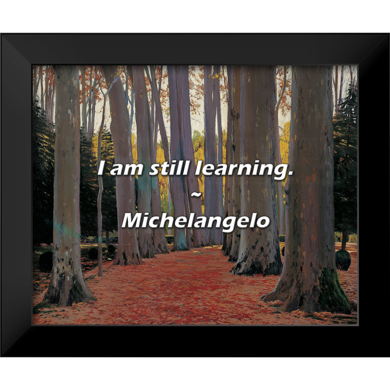 Michelangelo Quote: I am still learning.