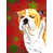 Bouledogue (jaune et blanc)