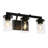 3-Light Black Vanity Light
