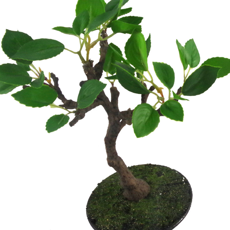 Anivea 25cm Faux Bonsai Tree in Ceramic Pot