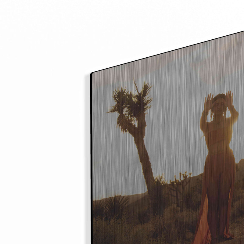 «Desert Priestess» par Elena Ray, art mural en métal, H 16 po x l 24 po