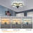 Franzius 20'' Ceiling Fan with LED Lights Remote