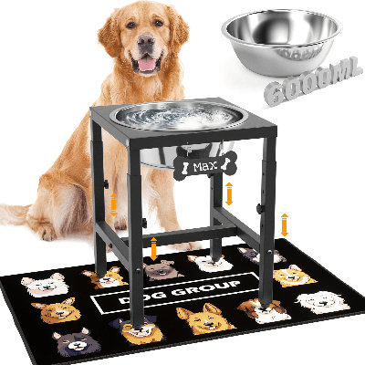Bol surélevé en acier inoxydable surélevé à 4 hauteurs (13 à 18 po) avec tapis anti-éclaboussures et support en métal robuste, bol d'eau surélevé pour chien de 1,6 gallon