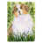 Australian Shepherd 3