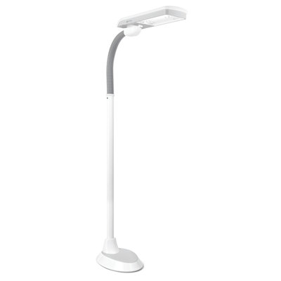 67'' LED Traditional Floor Lamp