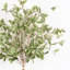 Arrangement floral de 23 po de branches de feuillage artificiel avec de longues tiges pour le remplissage du vase