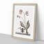 Water Frog by Mark Catesby - Picture Frame Art Print-55761434-55761435