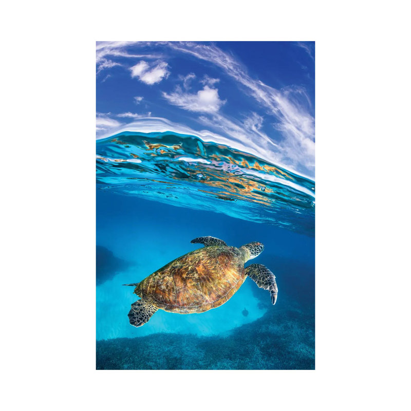 Rise Out Of The Blue Vertical by Jordan Robins - Wrapped Canvas Print, 20.32 cm H x 30.48 cm W
