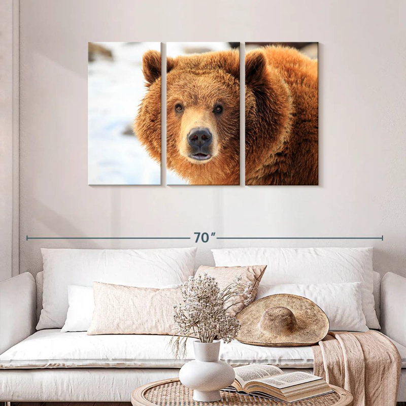 Regard d'ours grizzly, H 28 po x l 45 po