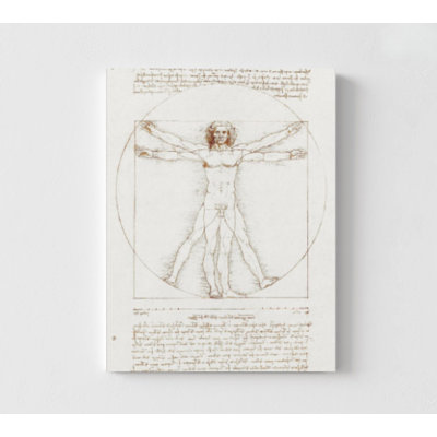 Affiche de Vitruvian