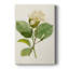 MagnoliaFlowersI - galerie Cavas sur mesure-222492884