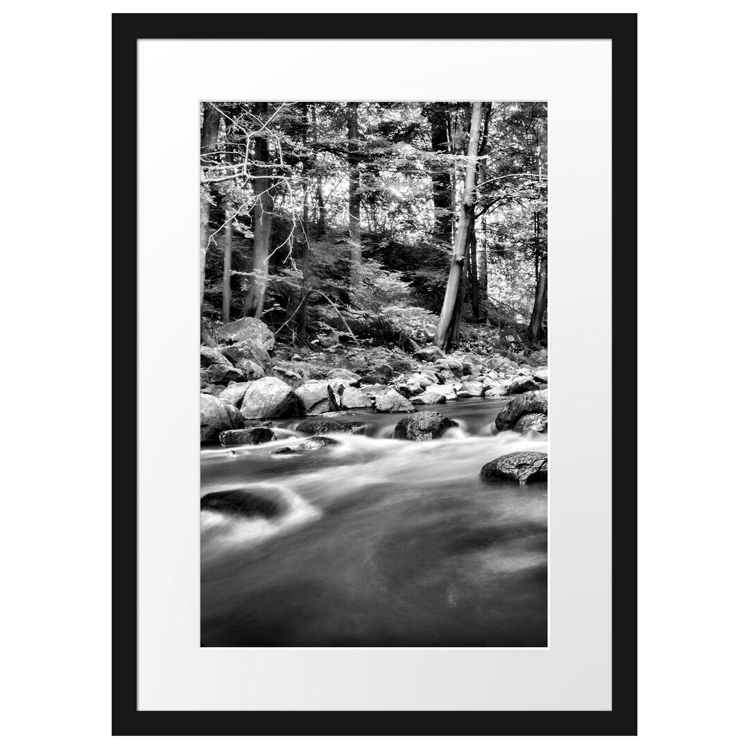 Gerahmtes Poster Fluss im Wald mit Steinen